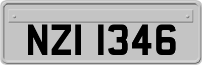 NZI1346