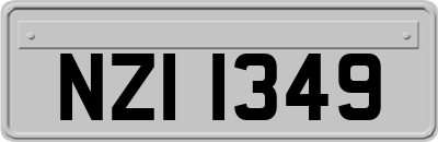 NZI1349