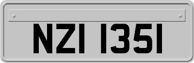 NZI1351