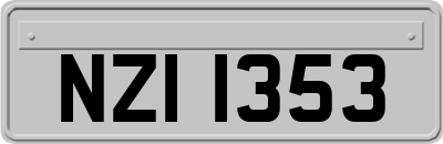 NZI1353