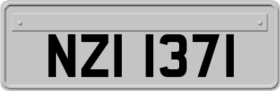 NZI1371