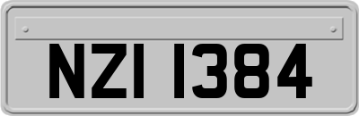 NZI1384