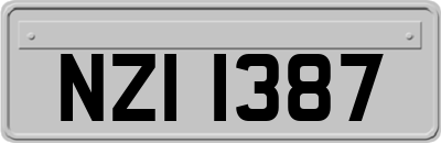 NZI1387