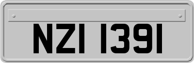 NZI1391