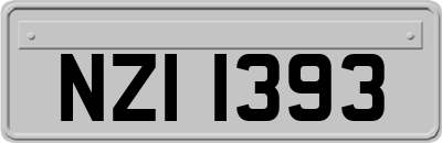 NZI1393