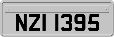 NZI1395
