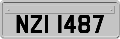 NZI1487