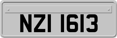 NZI1613