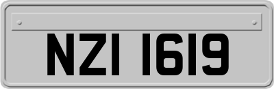NZI1619