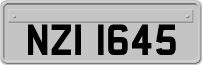 NZI1645