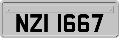 NZI1667