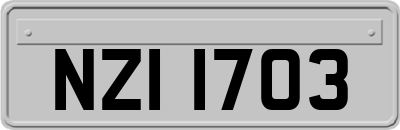 NZI1703