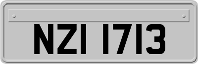 NZI1713