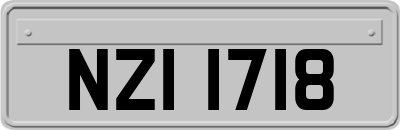 NZI1718