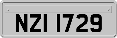 NZI1729