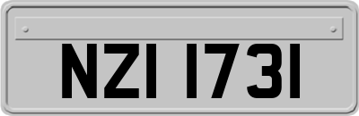 NZI1731