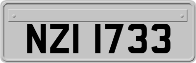 NZI1733
