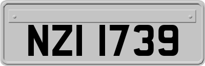NZI1739