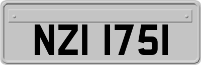 NZI1751