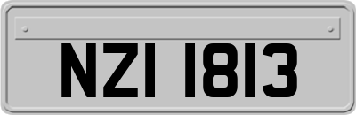 NZI1813