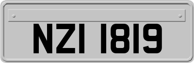 NZI1819