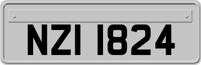 NZI1824