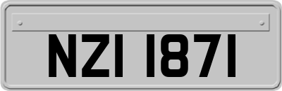NZI1871