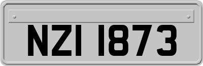 NZI1873