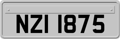 NZI1875