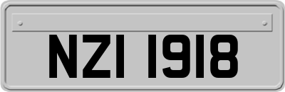NZI1918