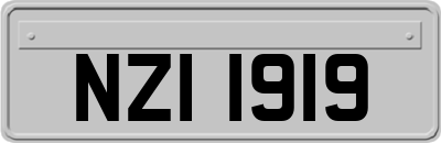 NZI1919
