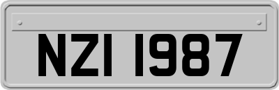 NZI1987