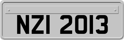 NZI2013