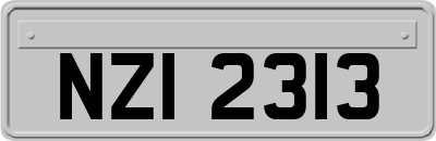 NZI2313
