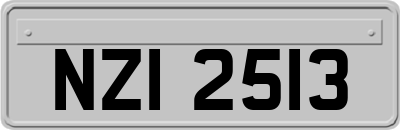 NZI2513