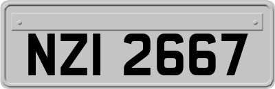 NZI2667