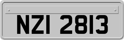 NZI2813