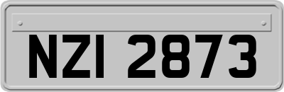 NZI2873