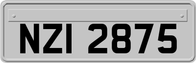 NZI2875