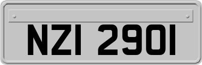 NZI2901