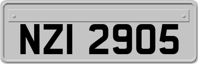 NZI2905