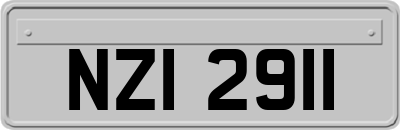 NZI2911