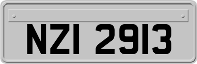 NZI2913