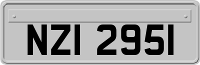 NZI2951