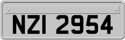 NZI2954