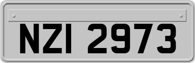 NZI2973