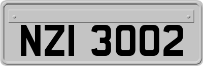 NZI3002