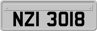 NZI3018
