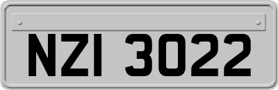 NZI3022