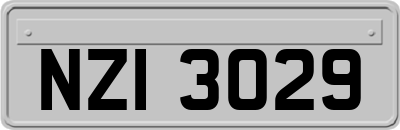 NZI3029